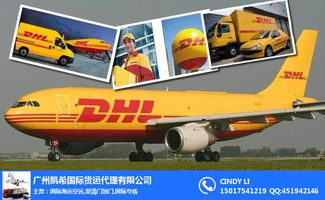 大洋洲高效物流纽带 奥克兰惠灵顿空运代理、新西兰空运公司与澳大利亚货代物流