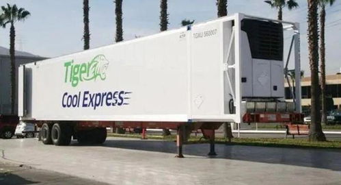 十年坚守难抵行业寒流 Tiger Cool Express倒闭折射货代业转型之痛