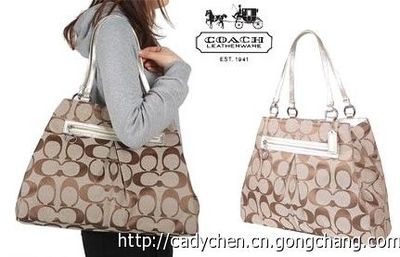 快件进口蔻驰的货运代理与香港进口蔻驰的货运公司全解析